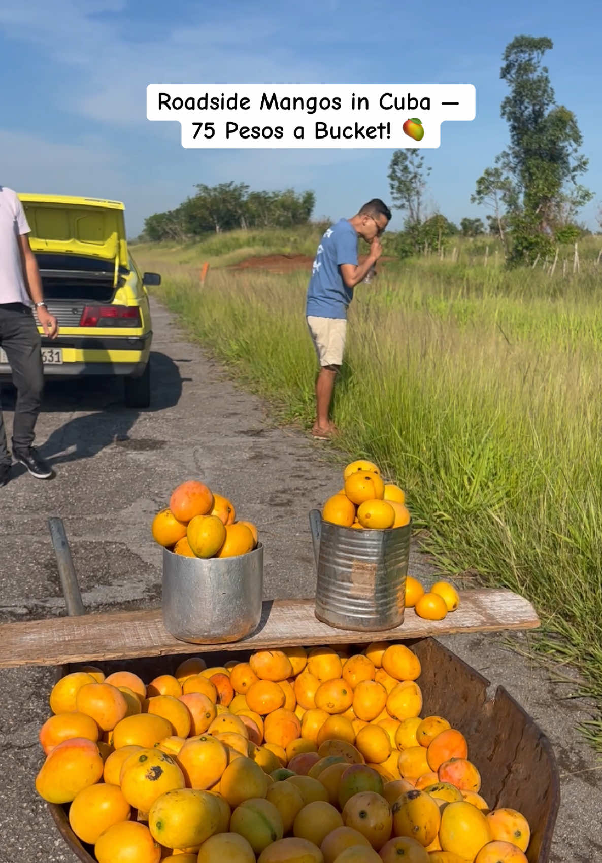 @Traveling Nepali