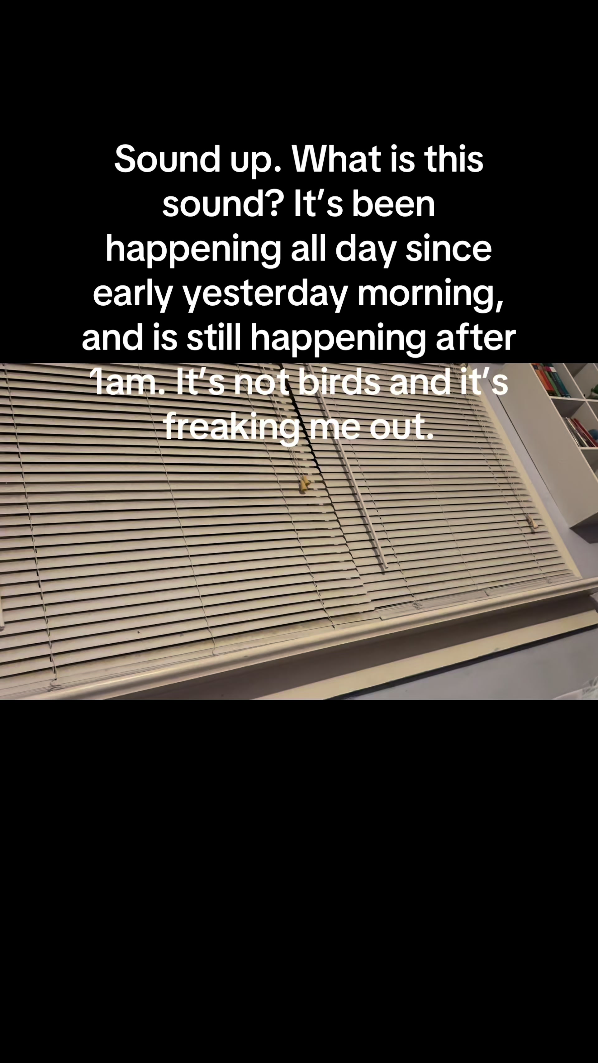 @Annielisie