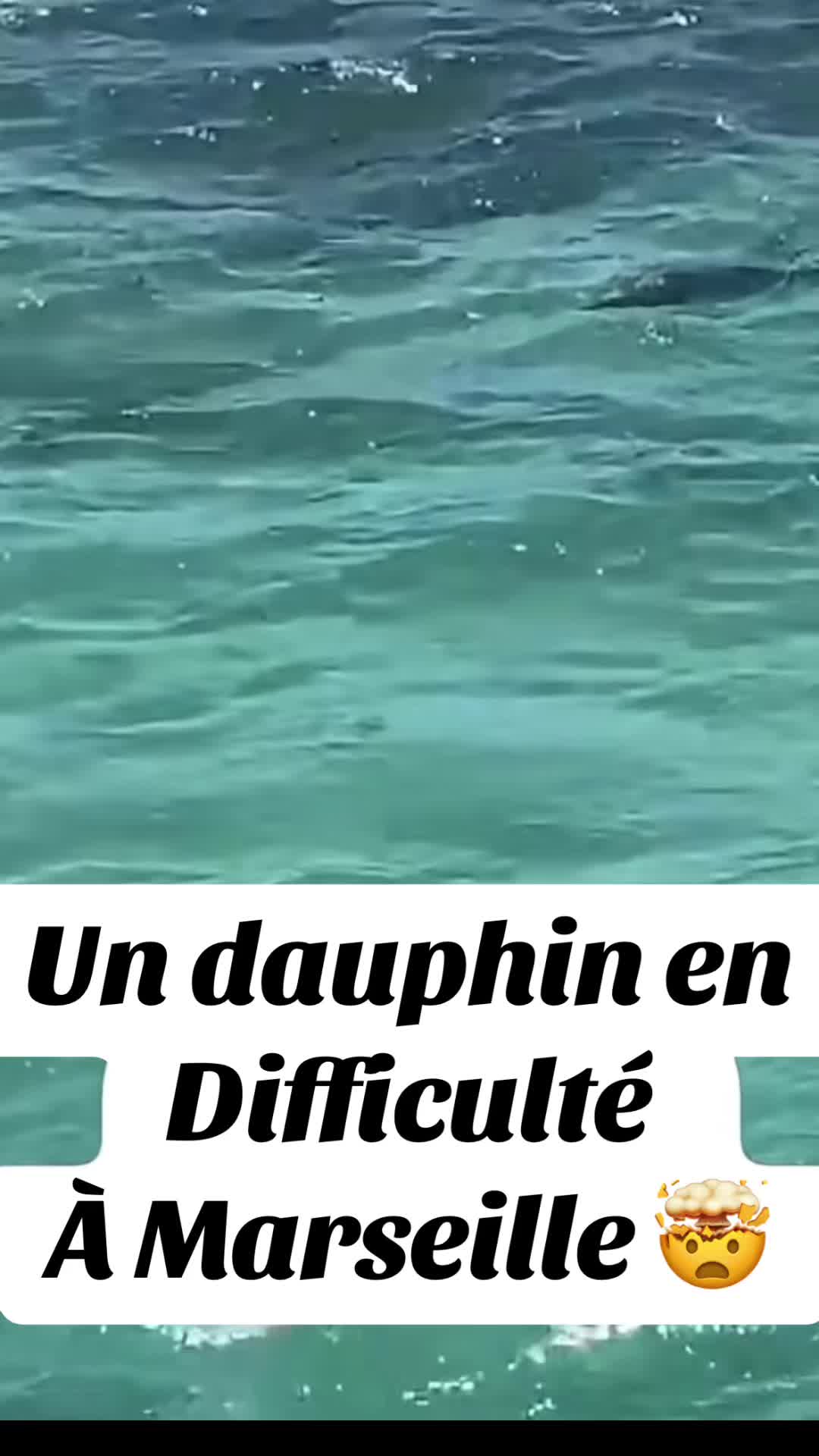 @Clips2Marseille