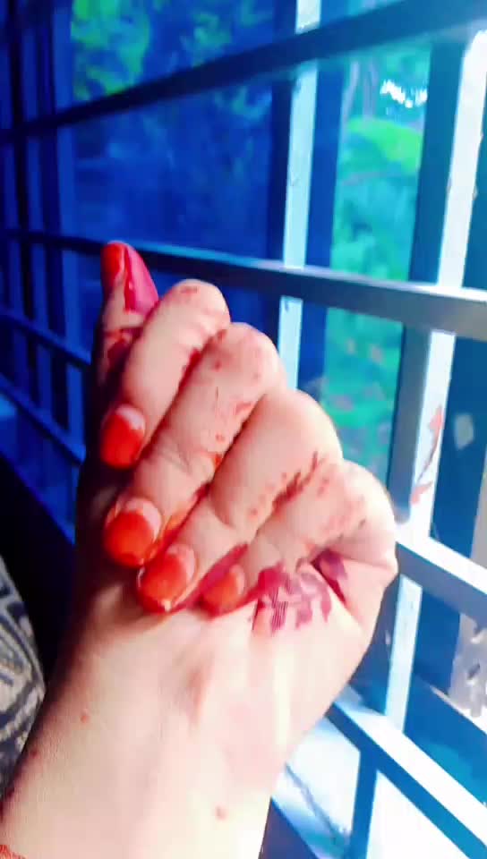 @anikaanni872