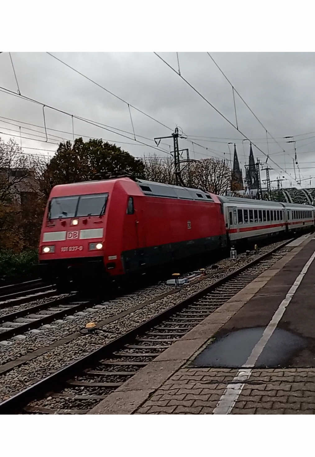 @Trainspotterin_Alina🧃