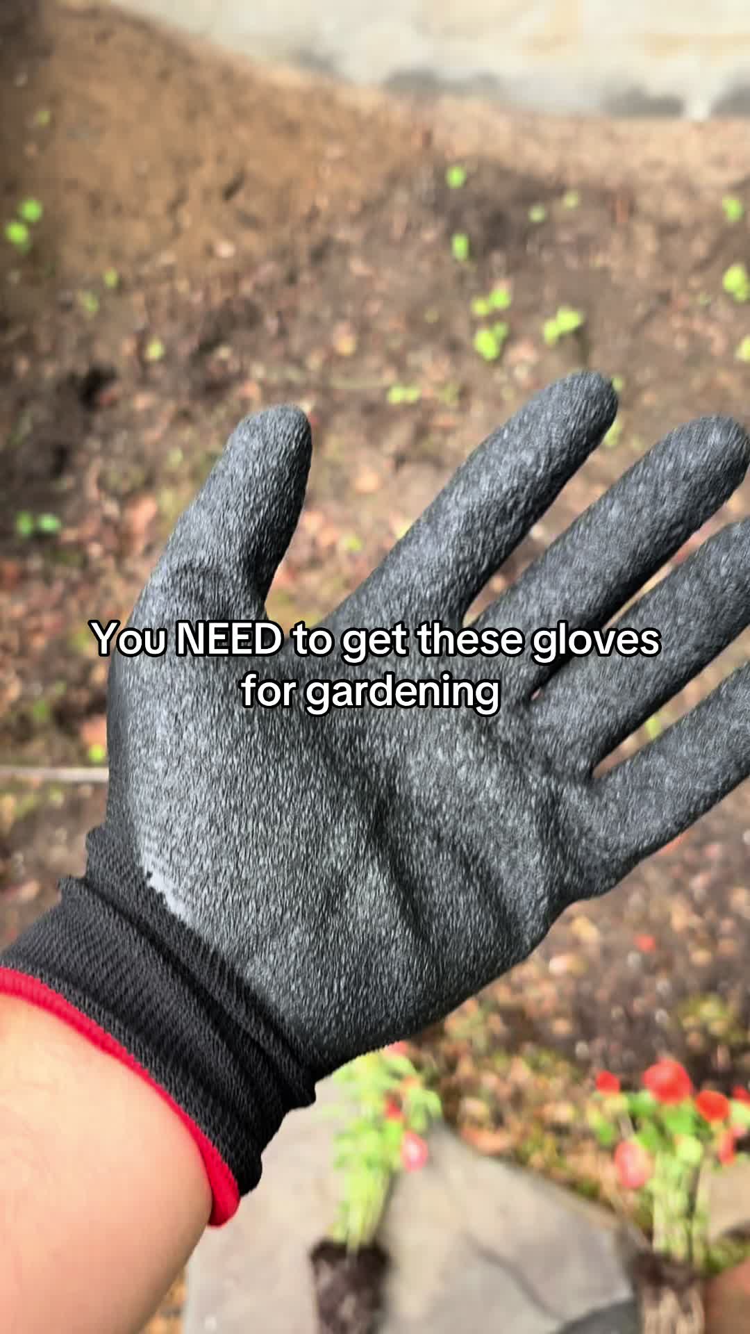 @Purealeve