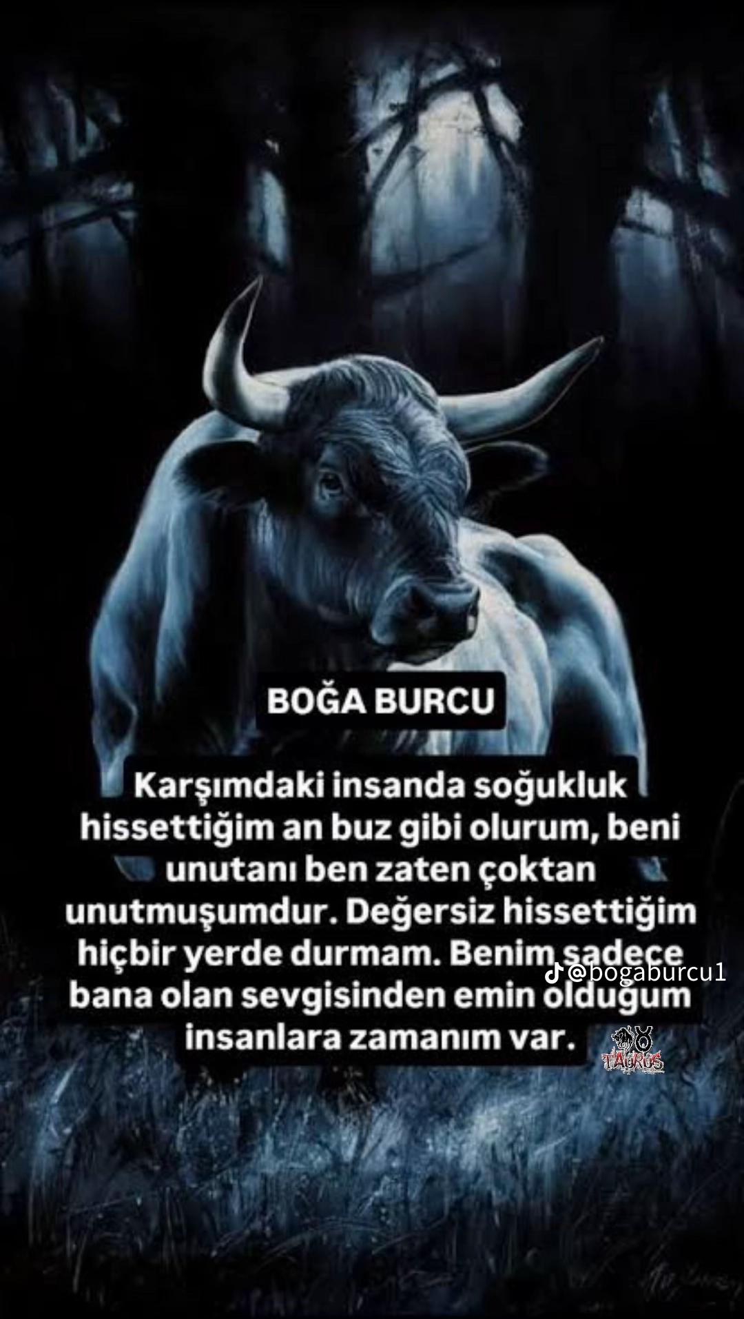 @Ferhat Ayg&uuml;n
