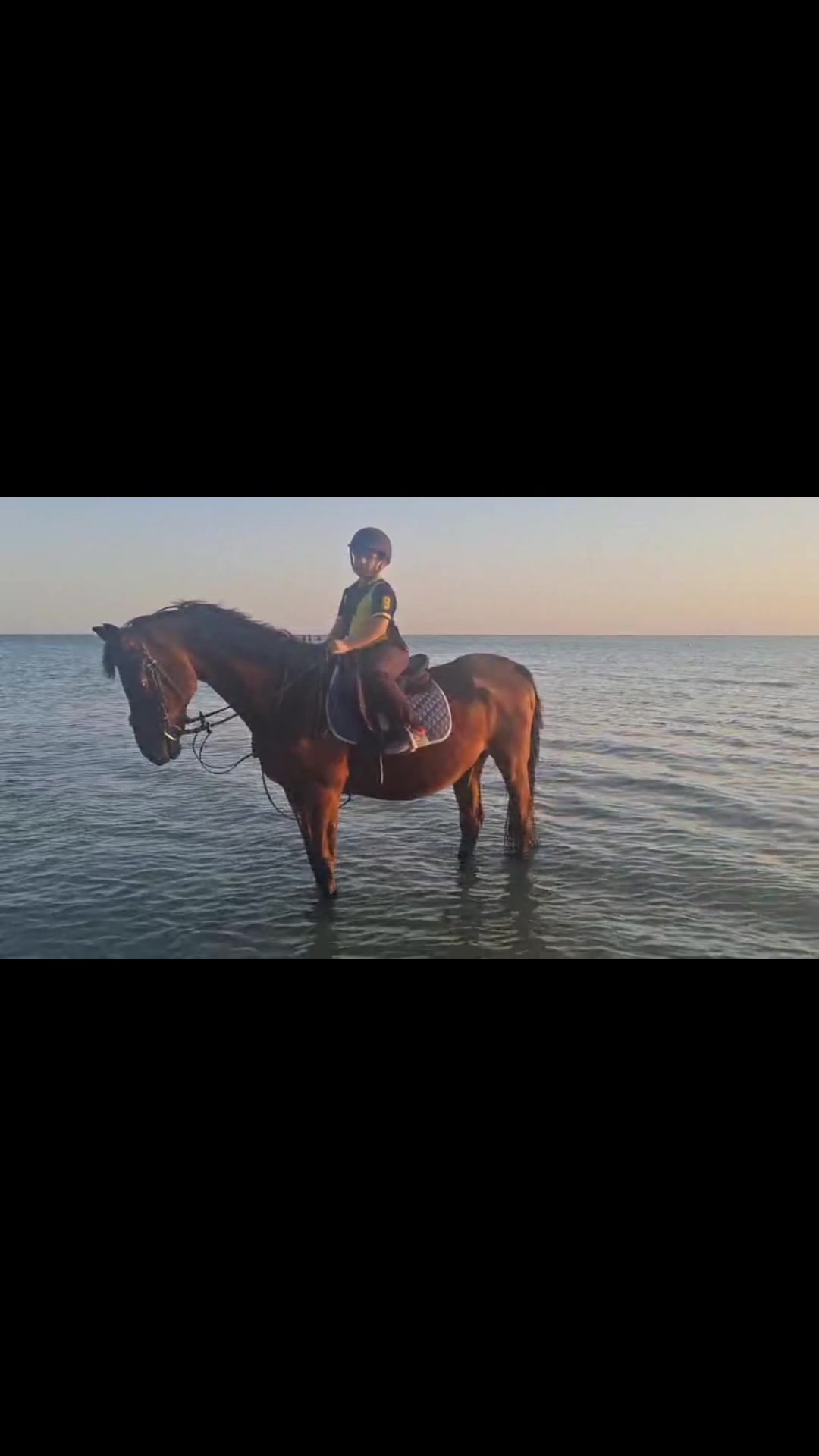 @Al Bosta Equestrian