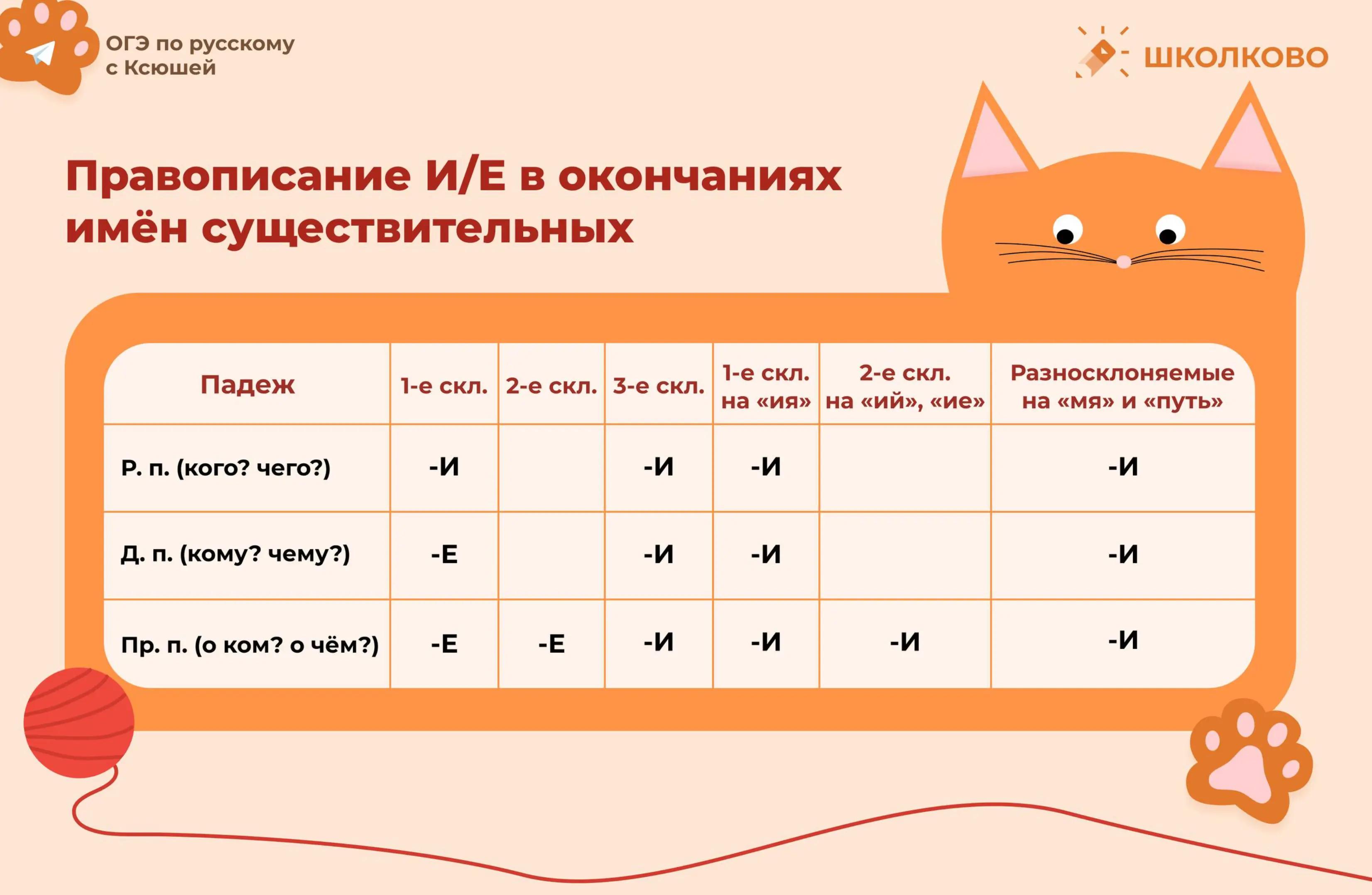 @Ксения Сумина