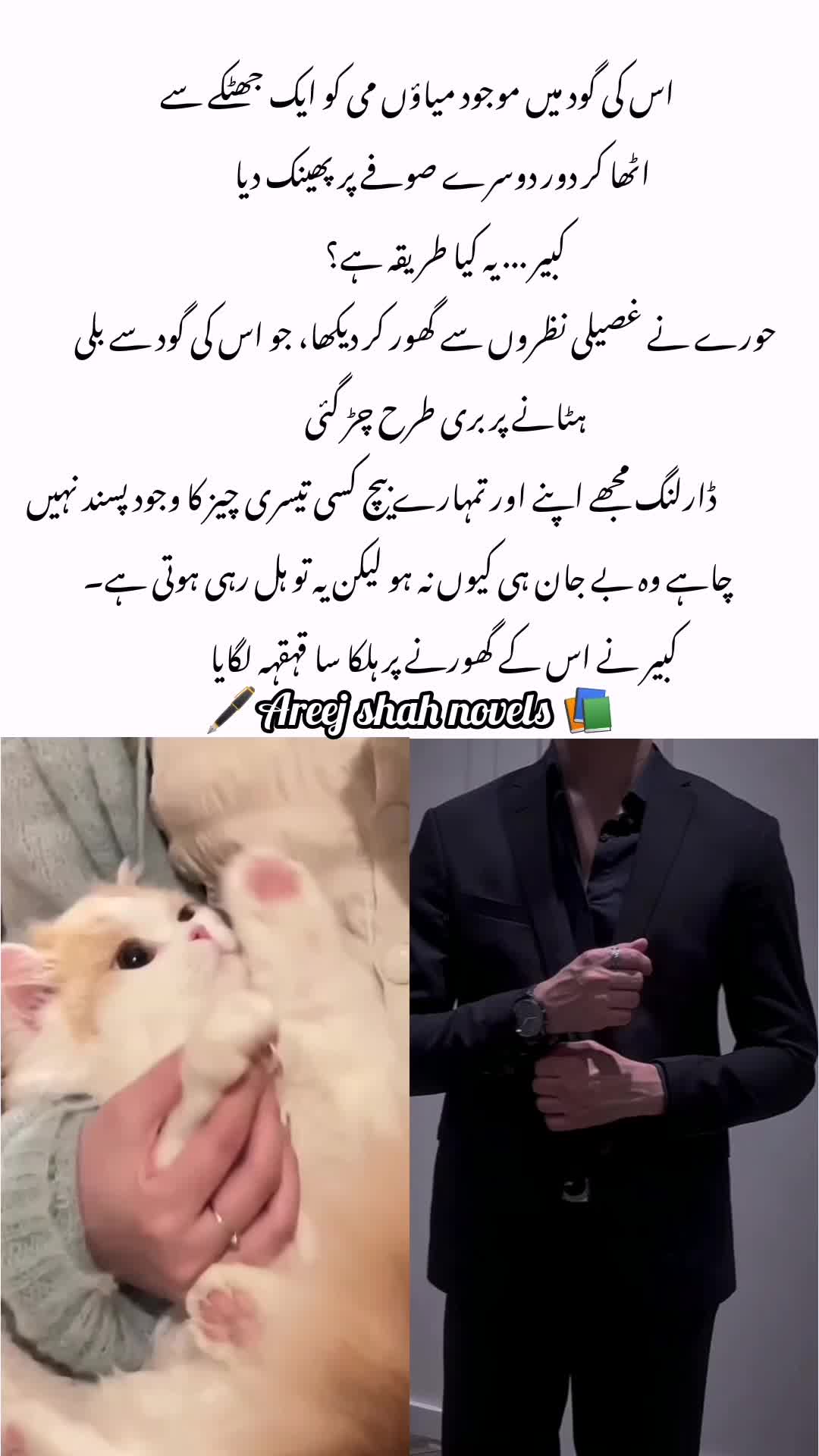 @Areej Shah Novels
