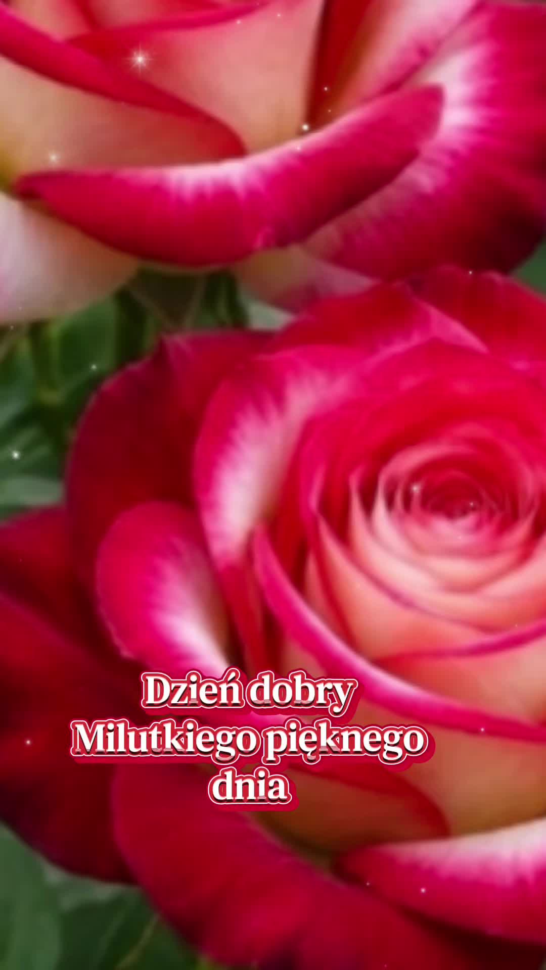 @Ambra@