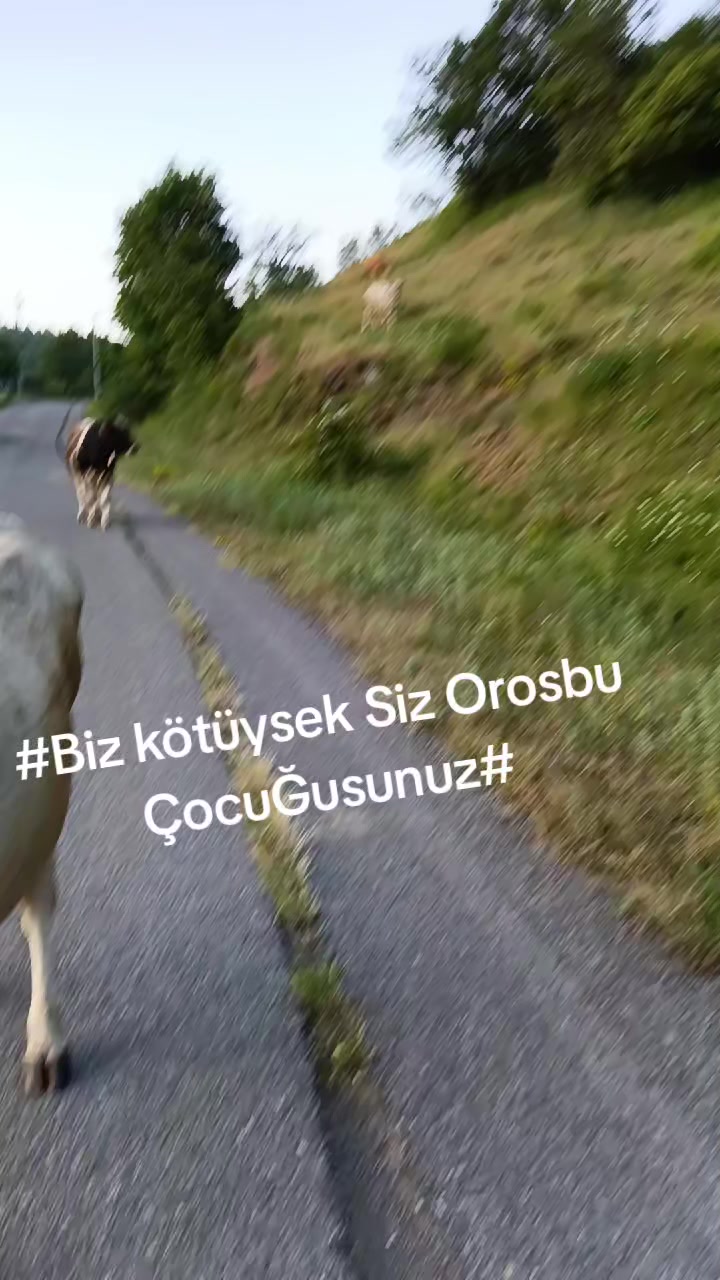 @Ertan Şahin