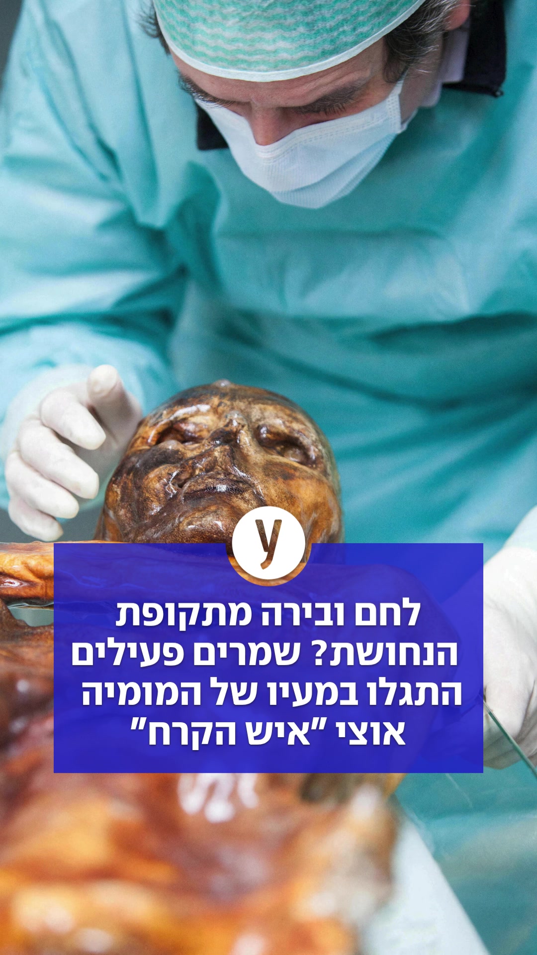@ynet