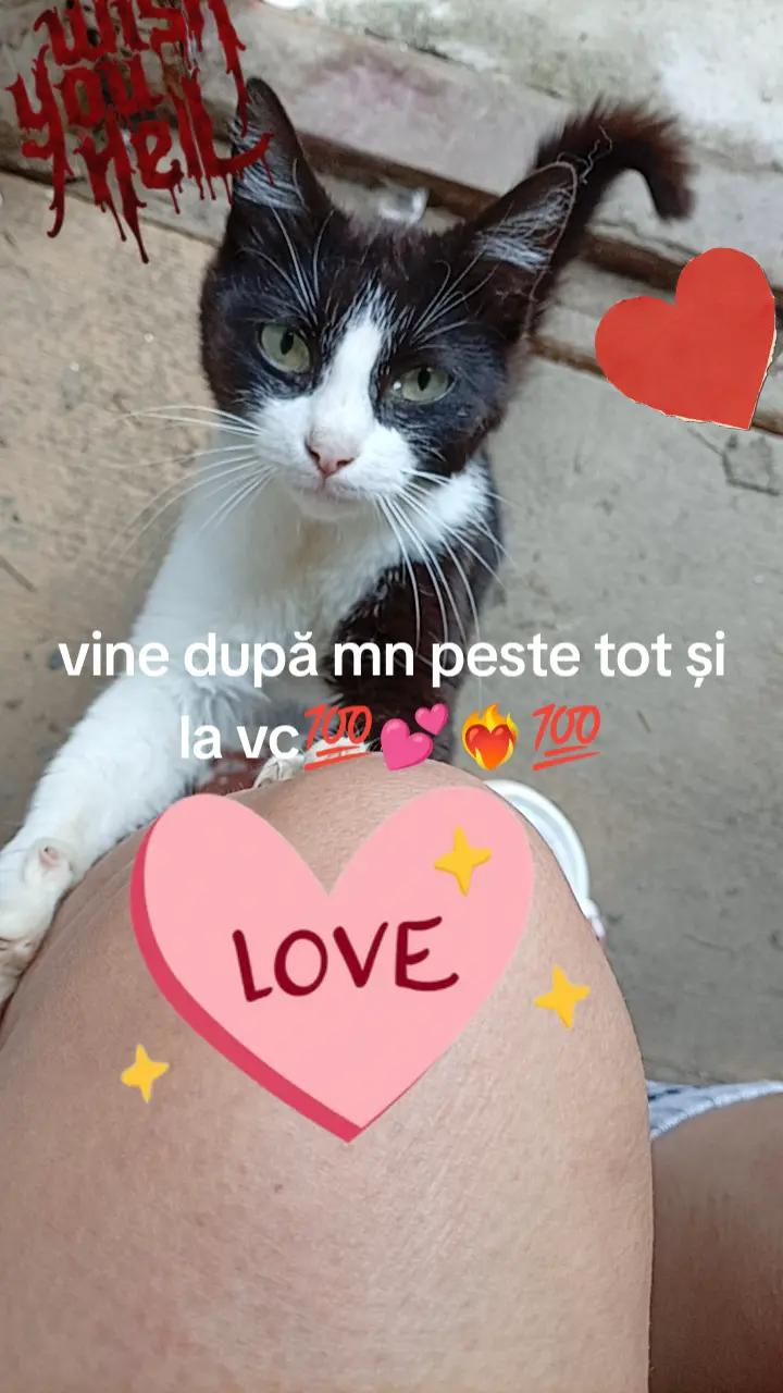 @geta