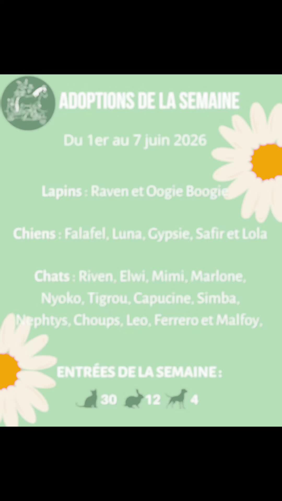@spa_strasbourg