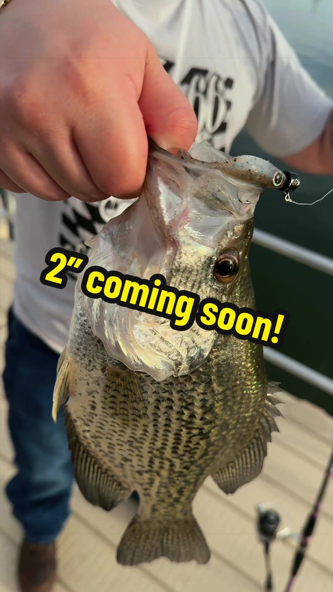 @Miko Lures LLC