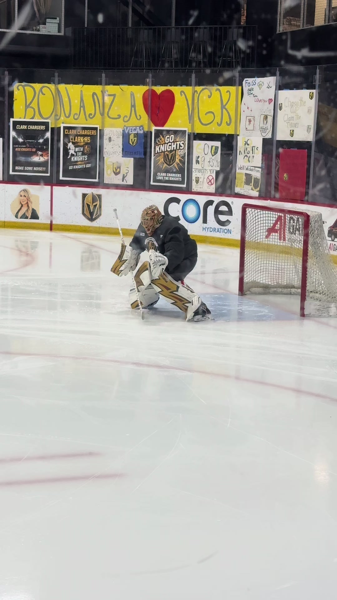@vgkgoaliegirl🏒