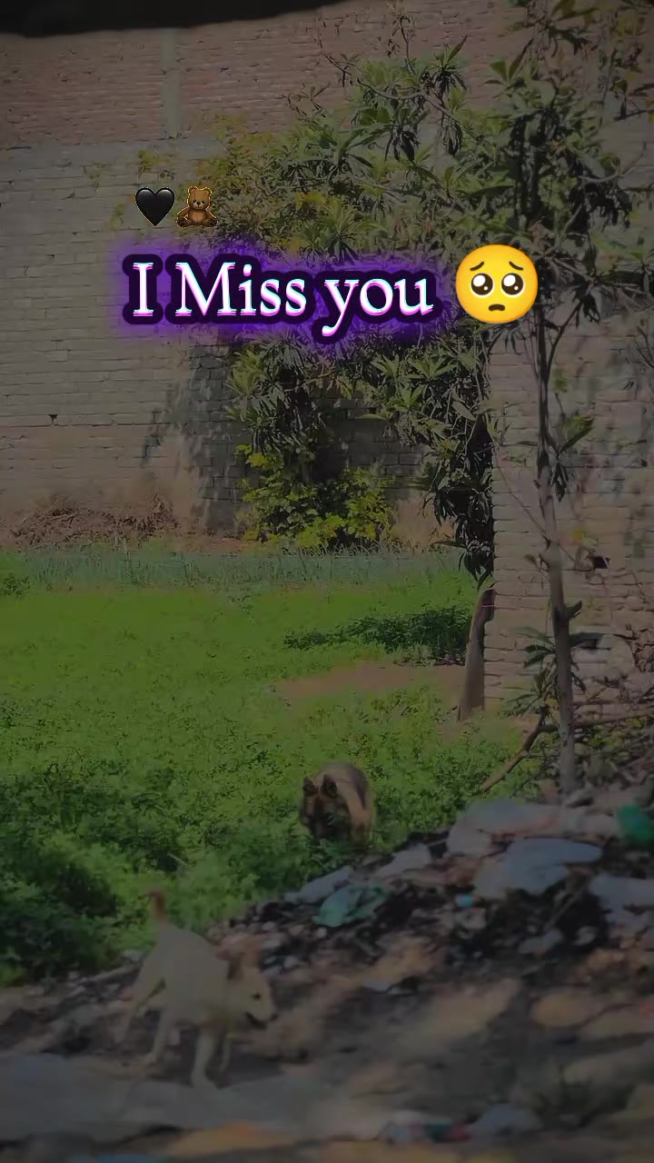 @بلاول خان BK 💜