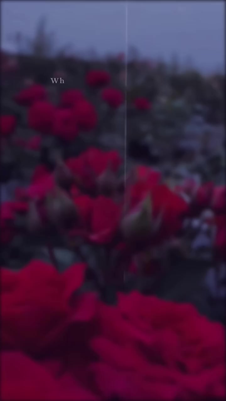 @🅼🆁 🆄🅽🅺🅽🅾🆆🅽 🎶