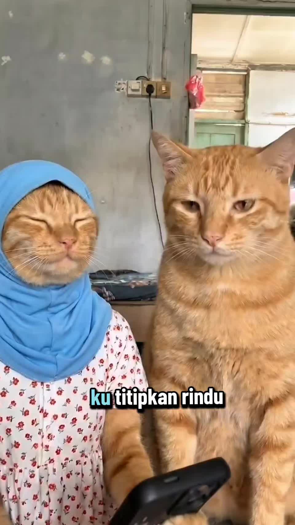@Anibanis