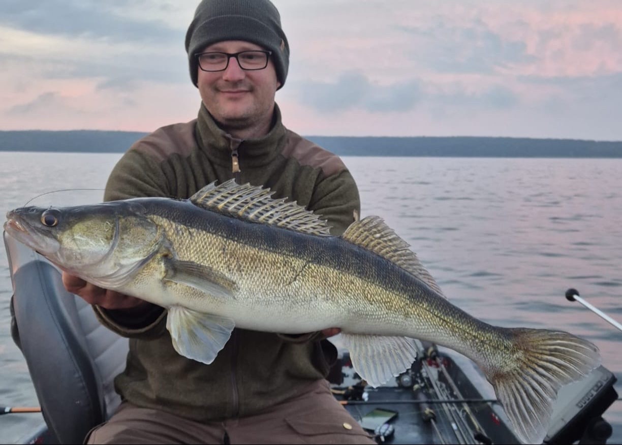 @ListBaits