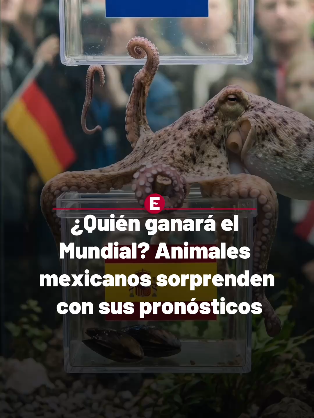 @Periódico Excélsior