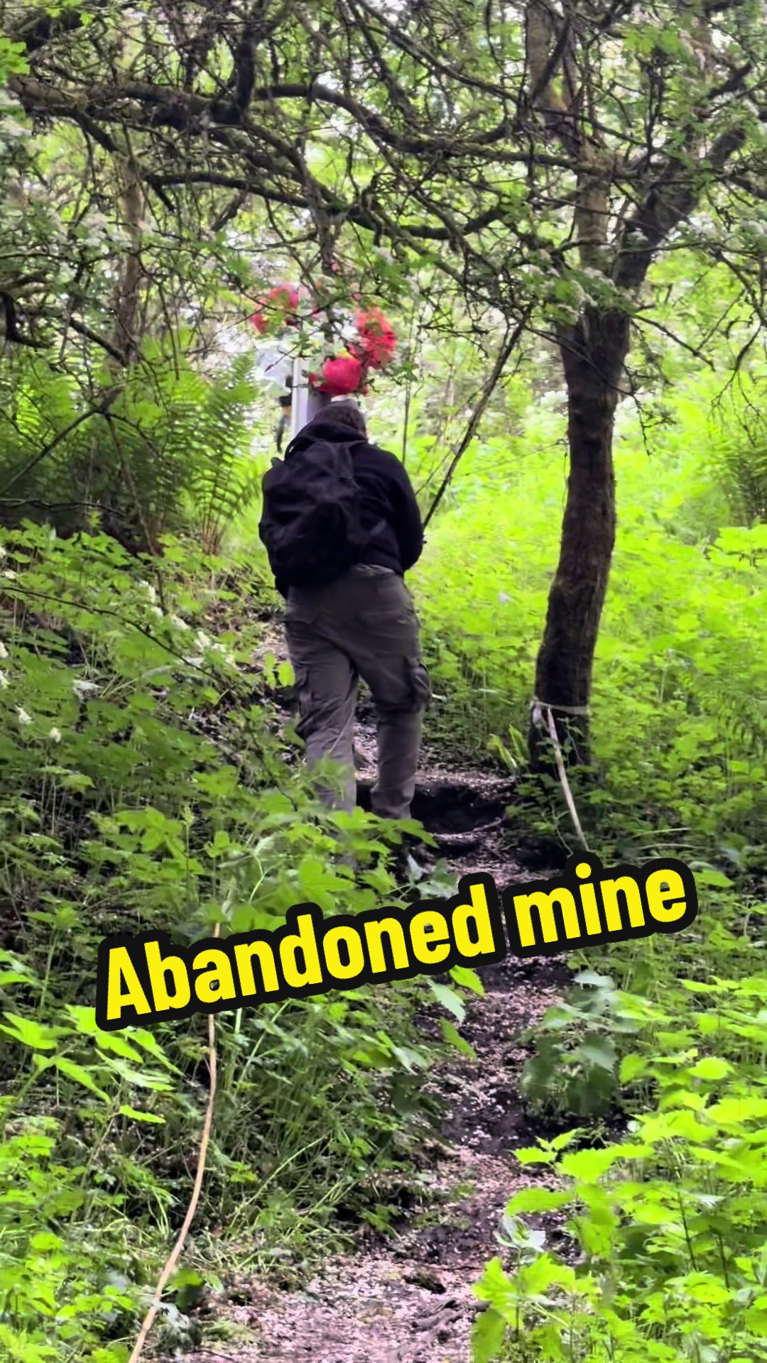 @calumblack