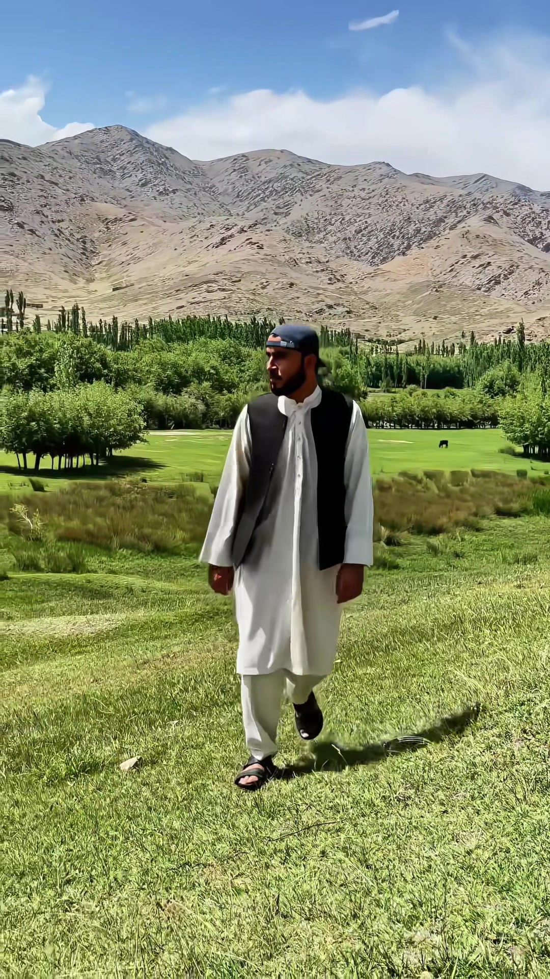 @Najibullah Noori