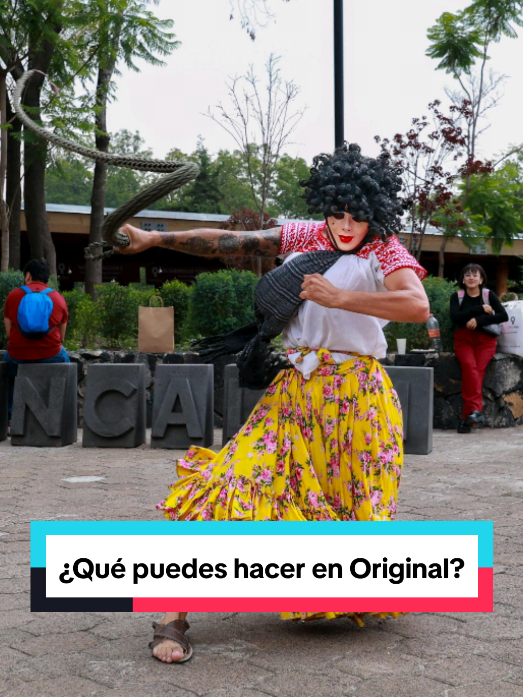 @Secretar&iacute;a de Cultura M&eacute;xico