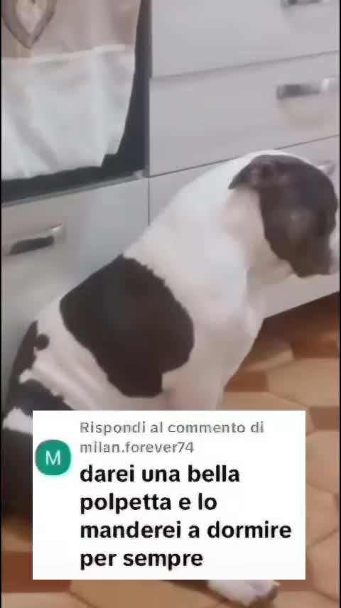 @⚠️ IL RE DEI BULLY ⚠️