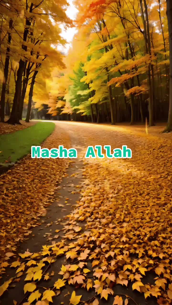 @Tariq Sultani