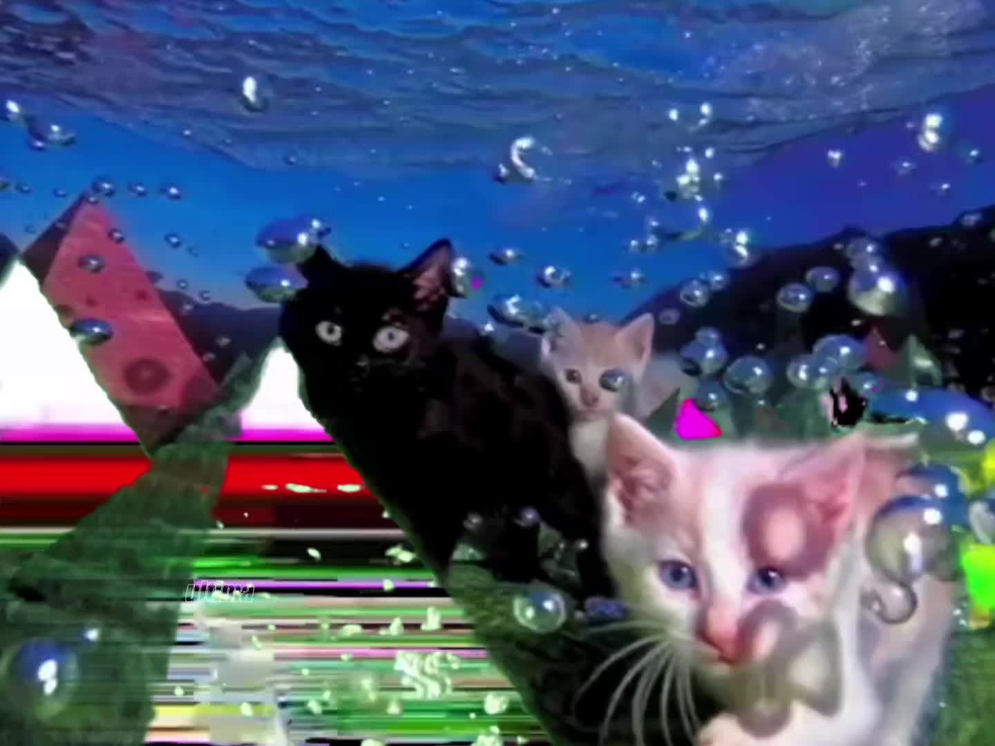 @тгк::&yen;льТима♯ᶜᵉᵒ