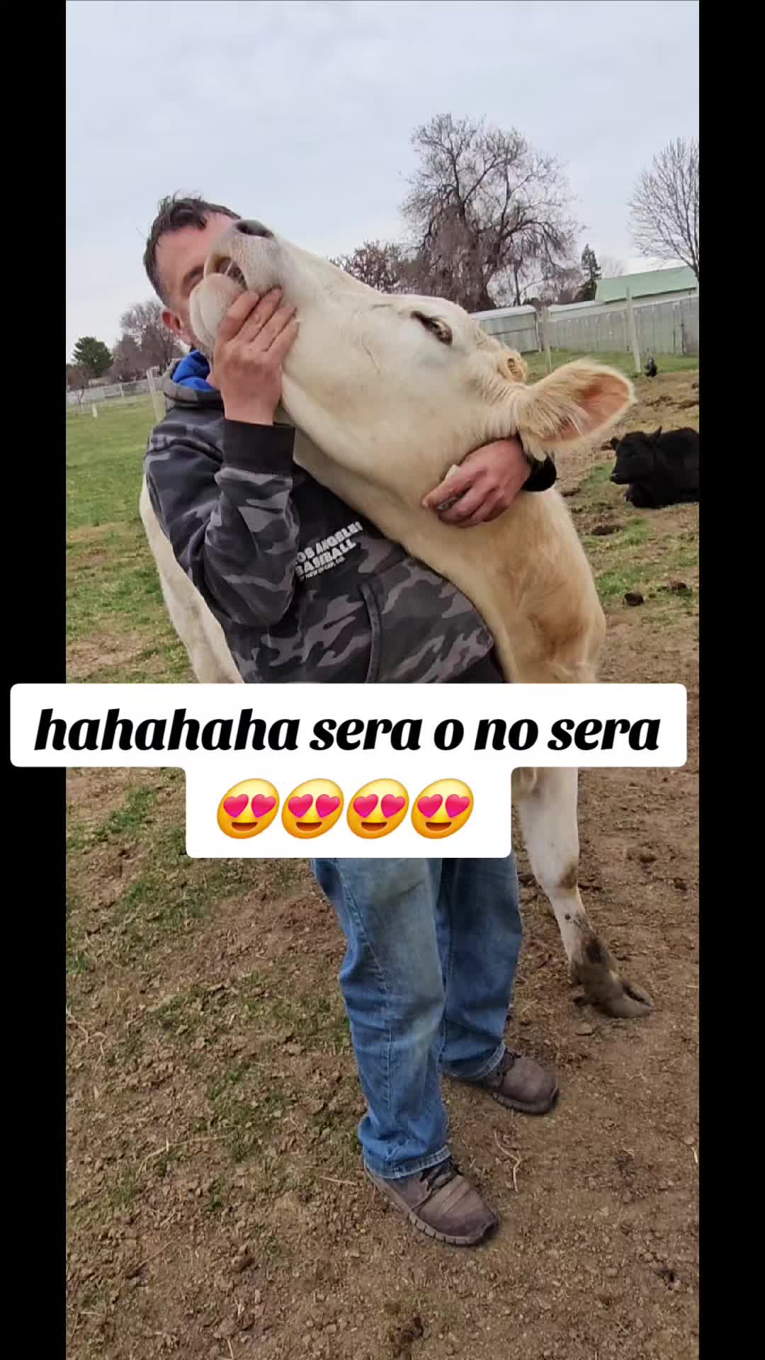 @rancho_rangel1
