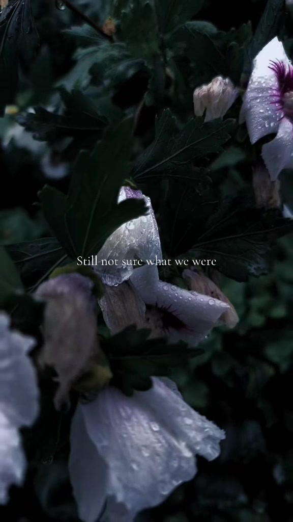 @𝖲.𝗁𝖾 𝗍𝗈𝗇𝖾𝗌 ☽