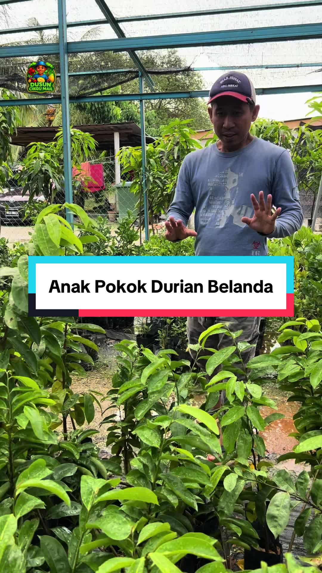 @Dusun Cikgu Mail
