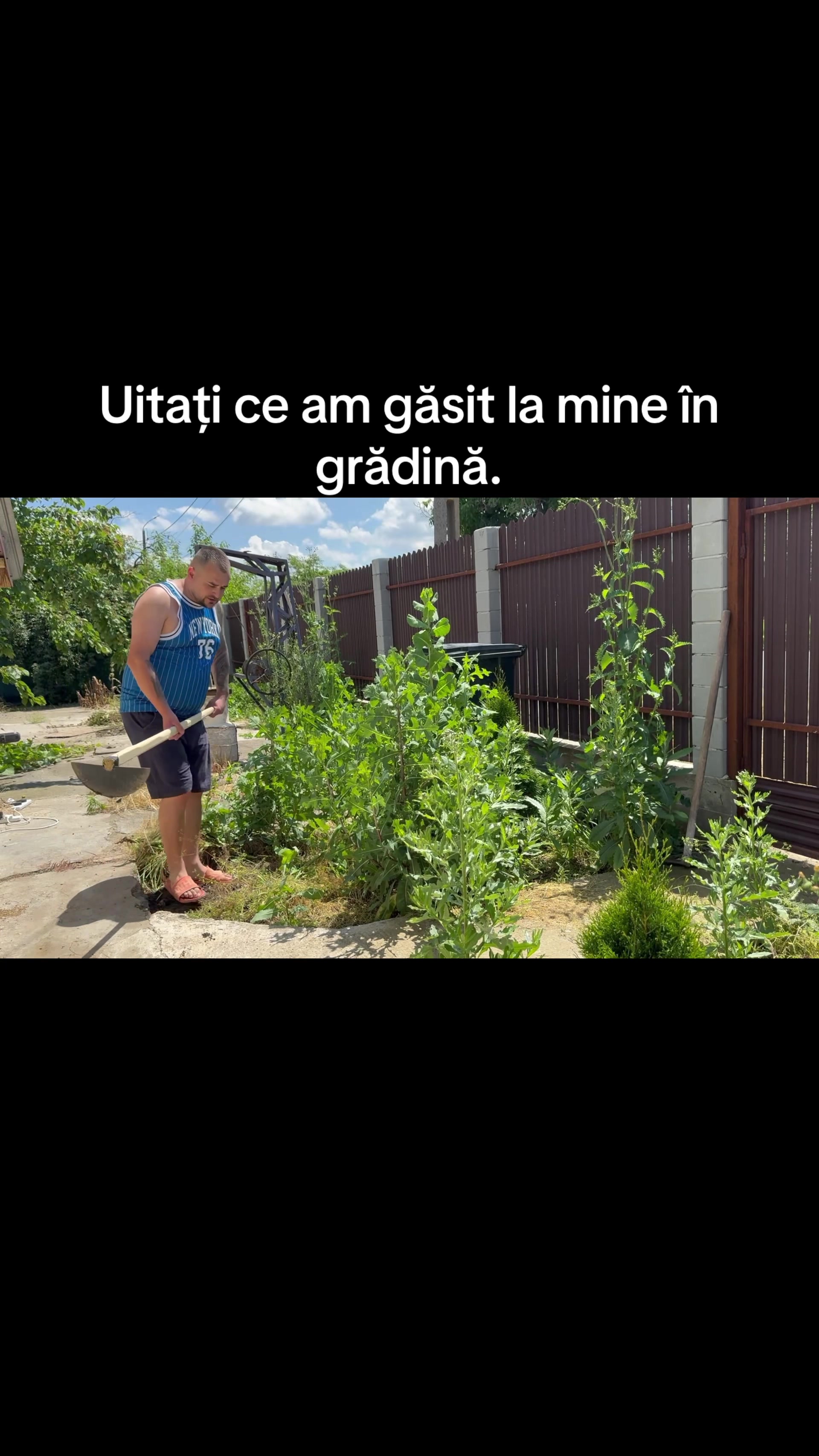 @Cristi neagu