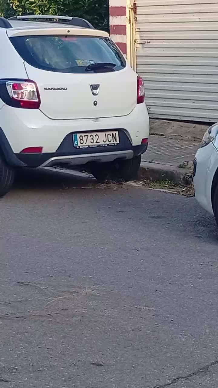 @Javier