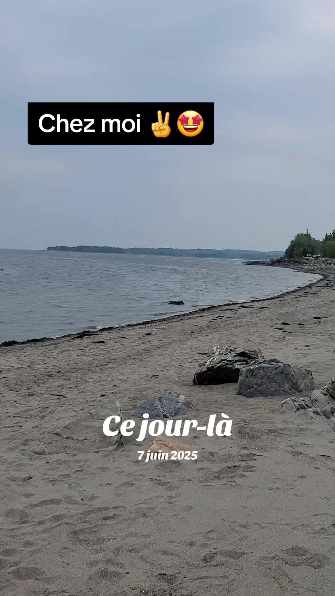 @L'AnTiSoCiAl🤪