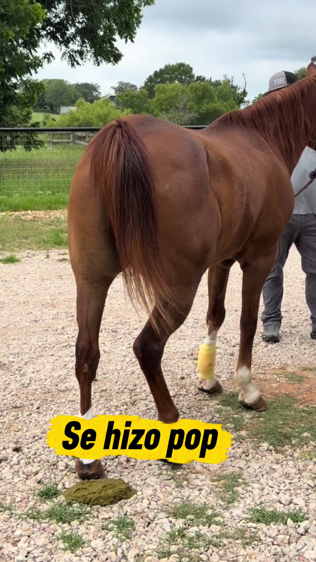 @Ariadna Vladilo