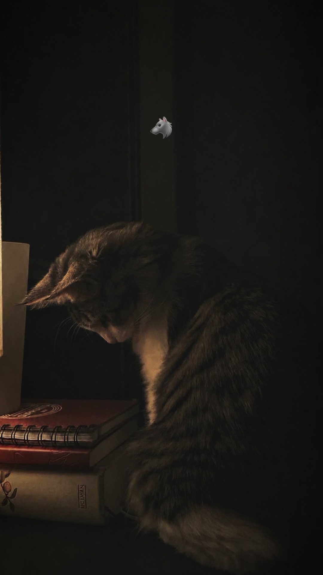 @𝙛𝙧𝙞𝙙𝙪𝙤𝙢  🥀❤️&zwj;🩹