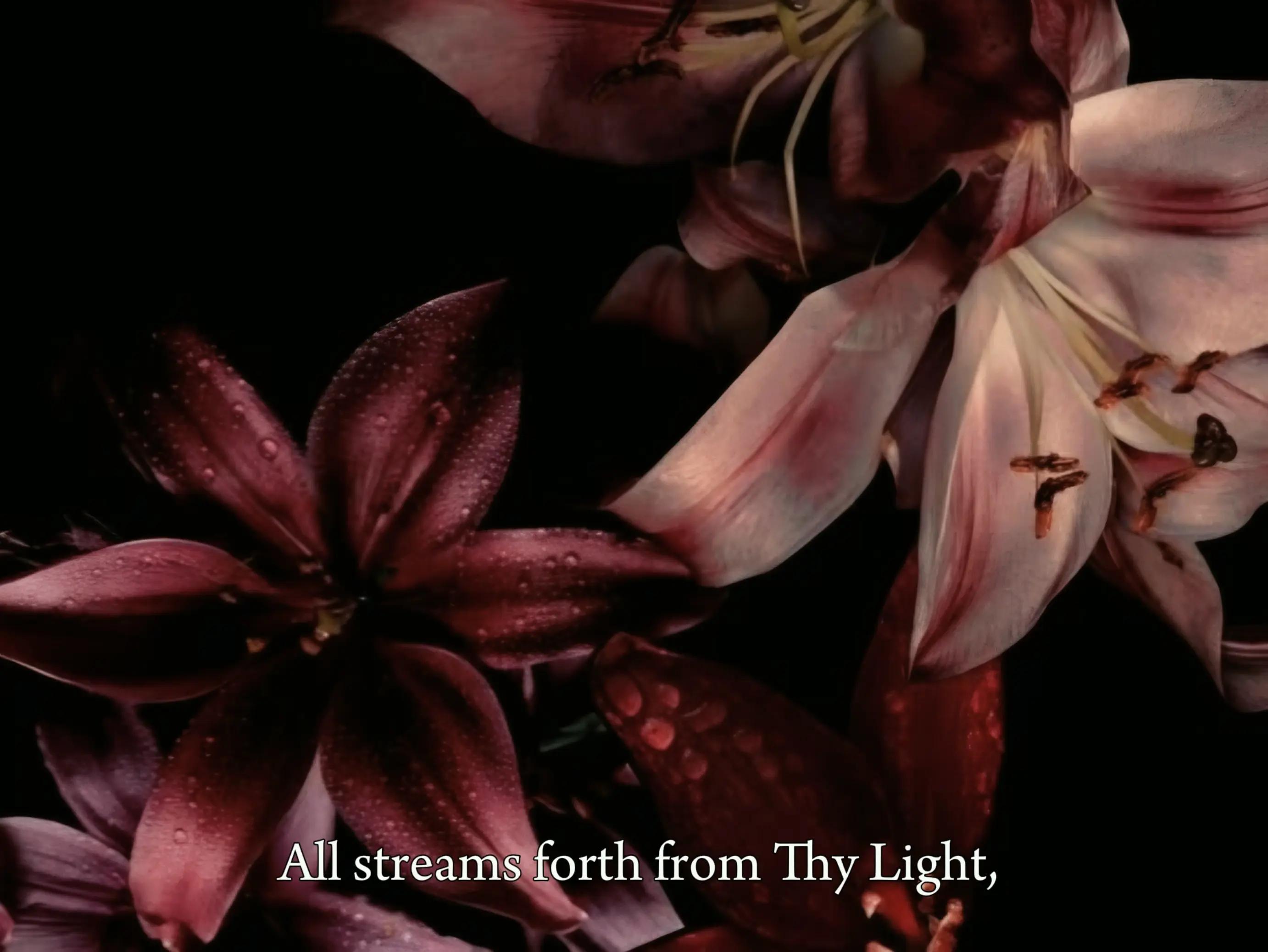 @flourishingphilosophy