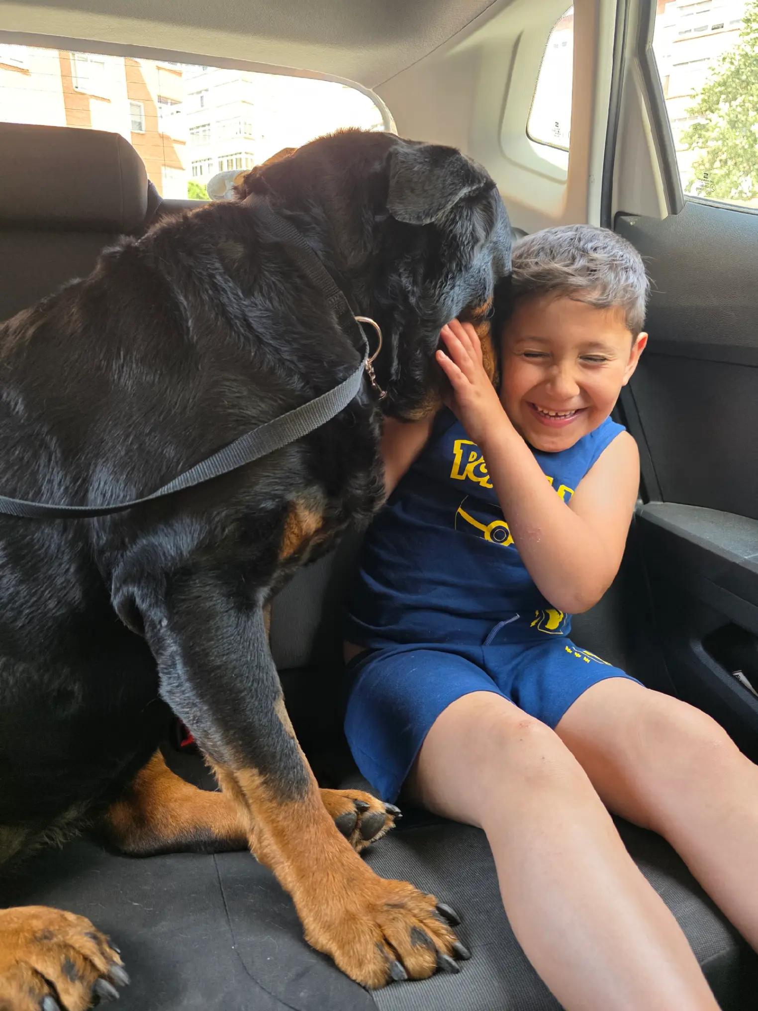 @KyRa❤️RoTTie & BeGo