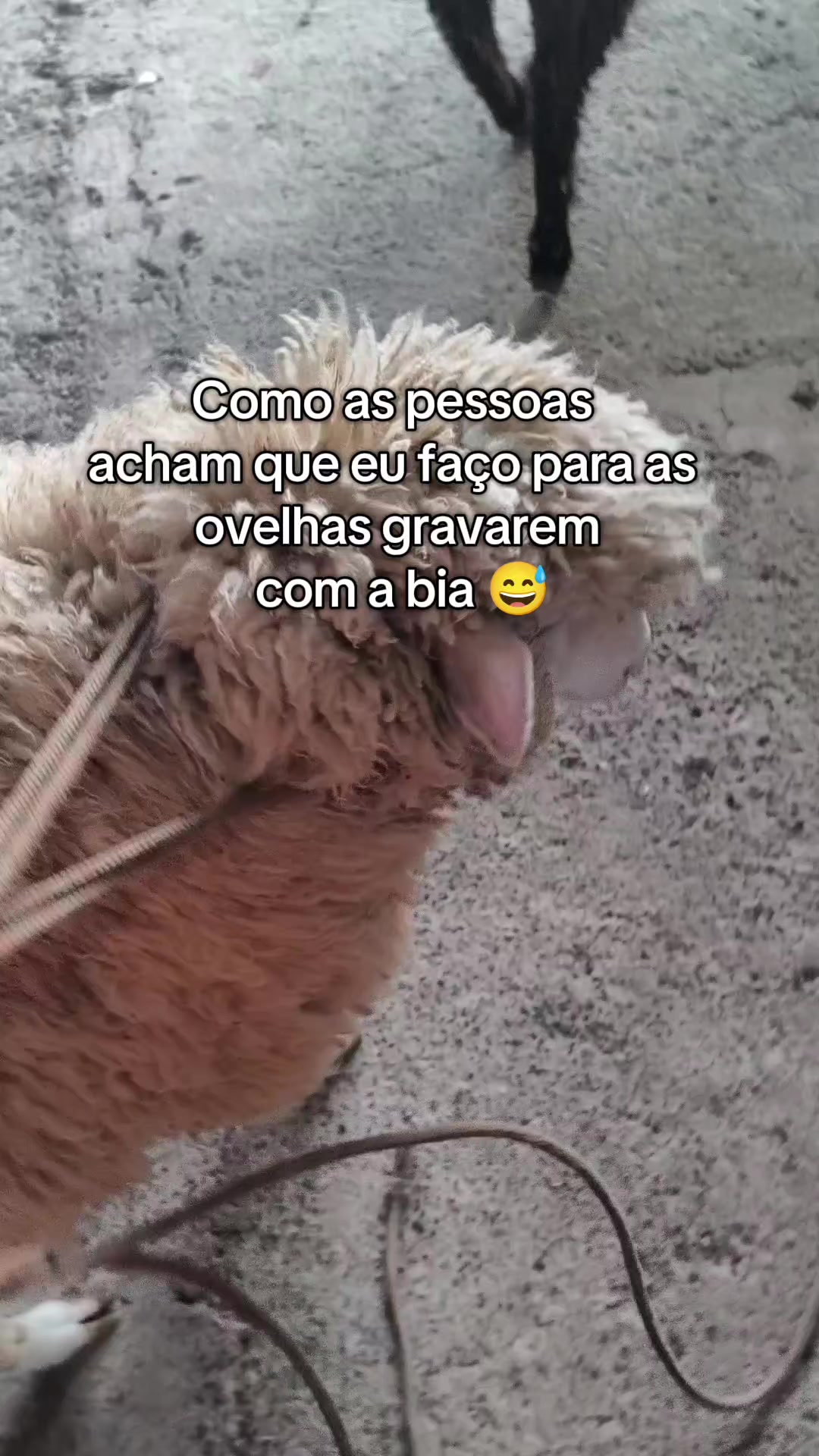 @Nat&aacute;lia e Beatriz 🐣