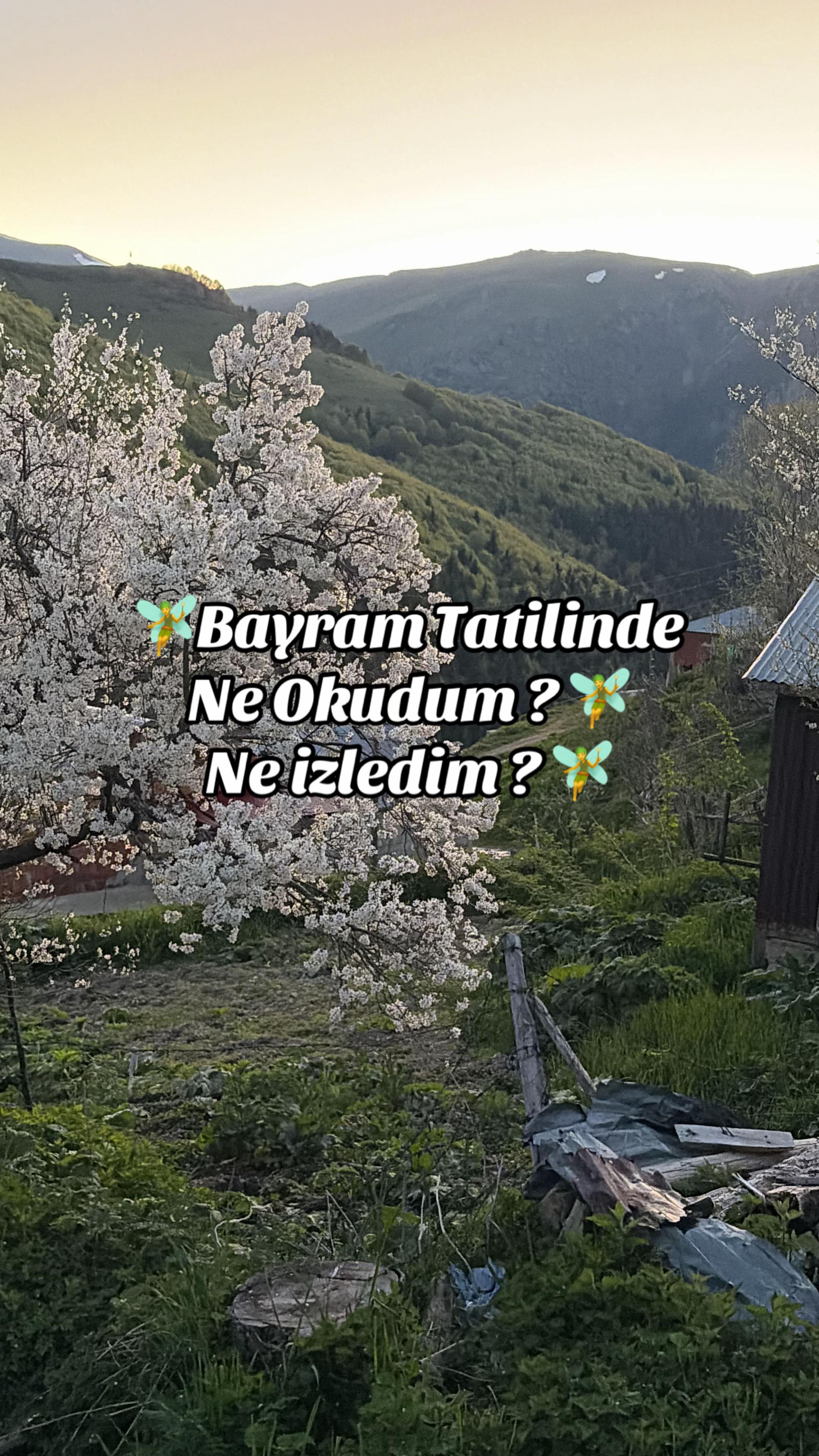 @İstanbul Kedisi