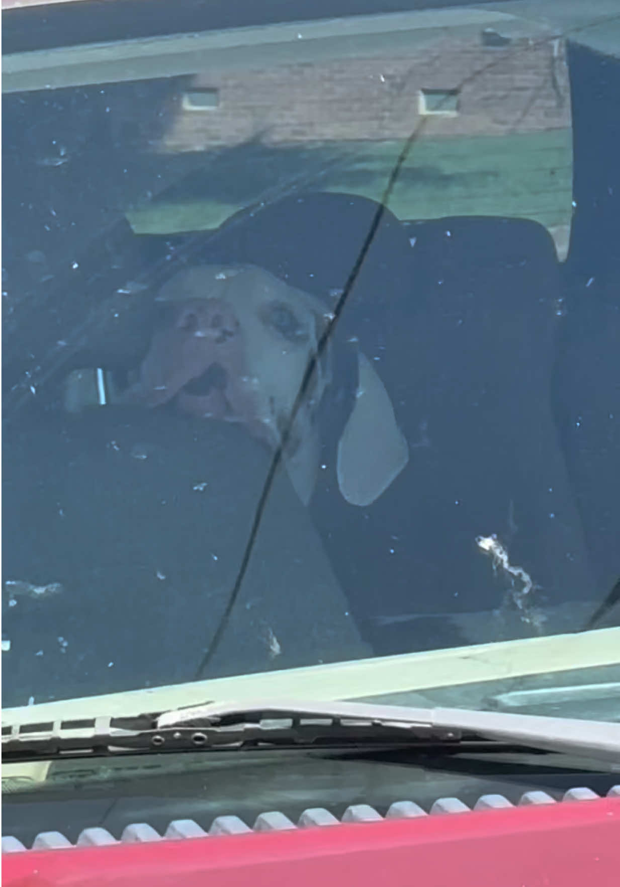 @stonethedane