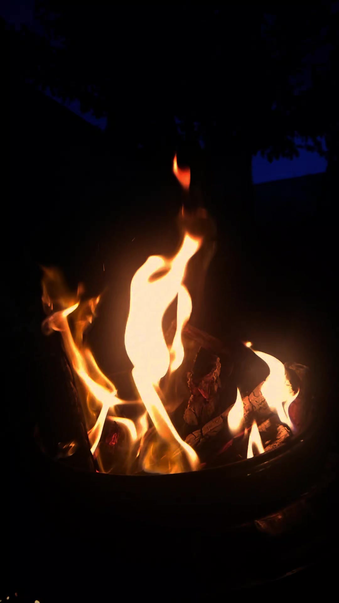 @manzaramankara