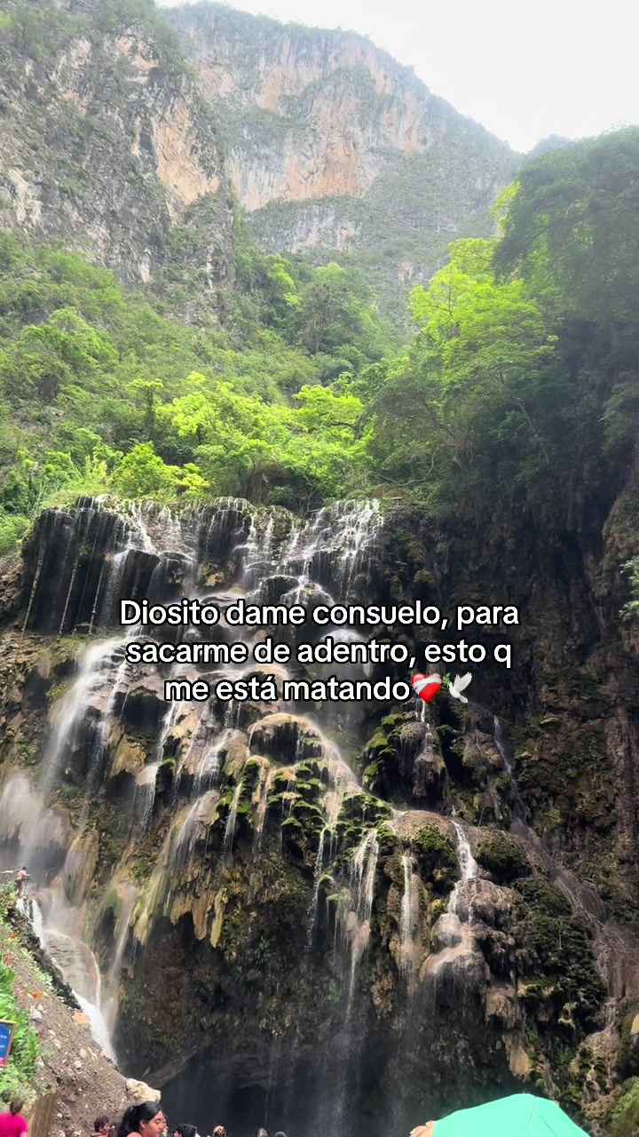 @_fuentesdom_