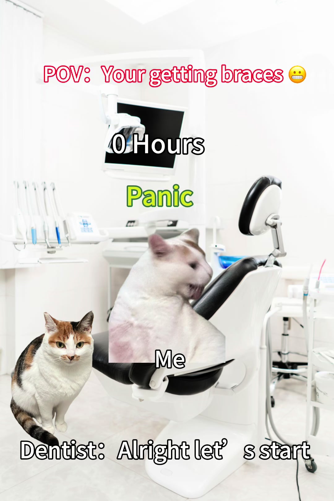 @3 Cats 1 Braincell
