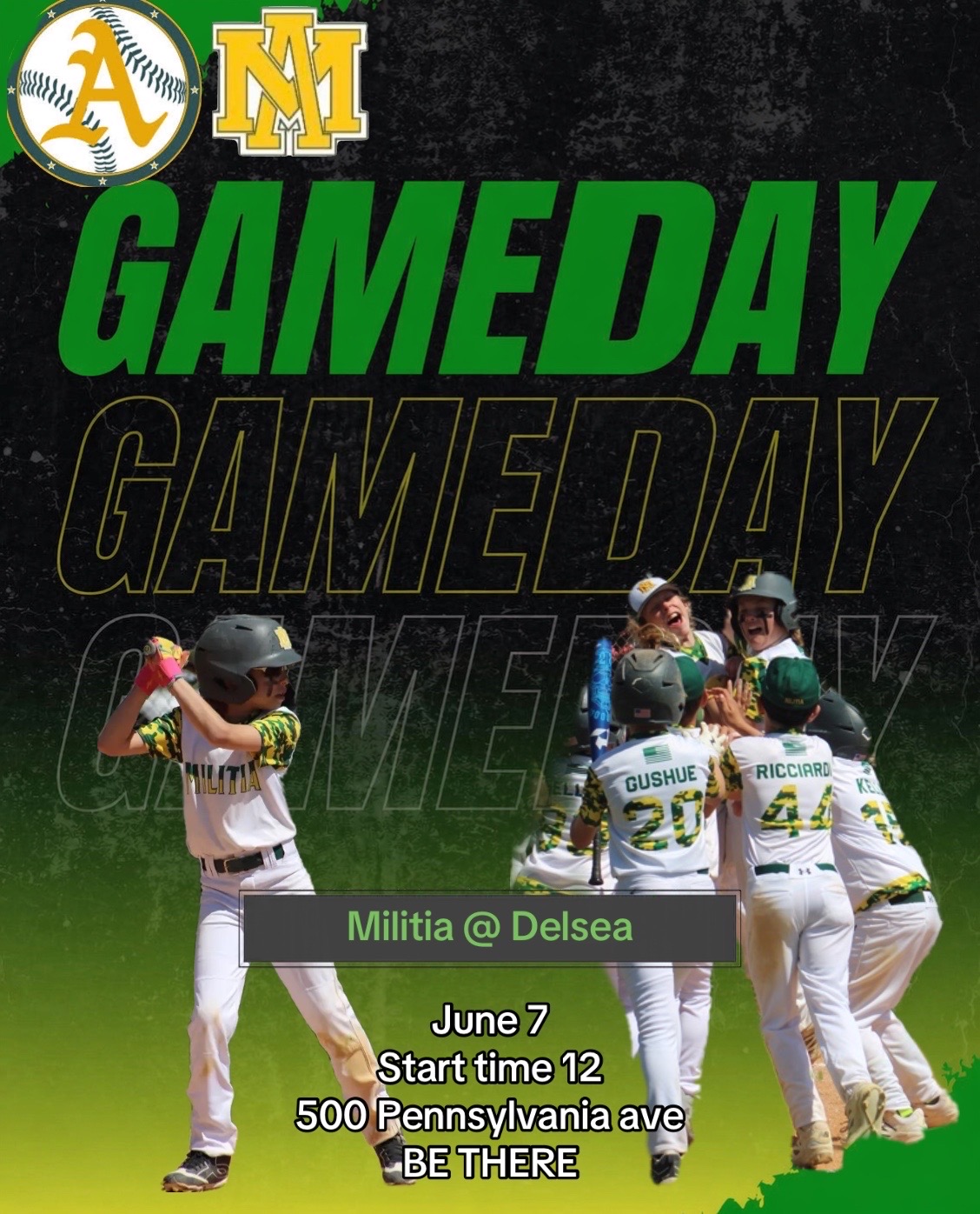 @AudubonMilitia13u