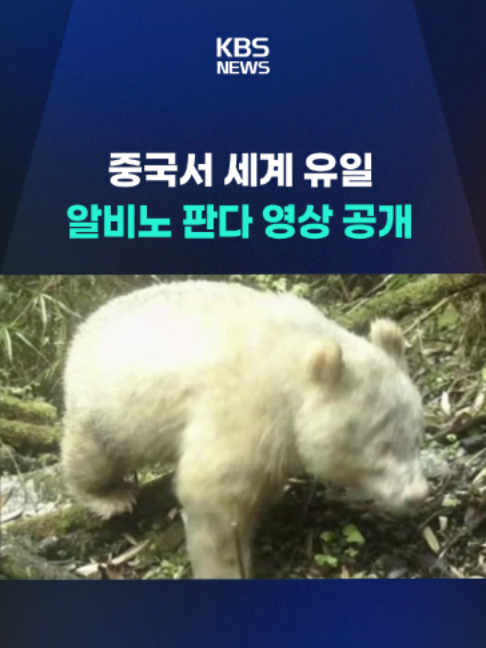 @KBSNEWS