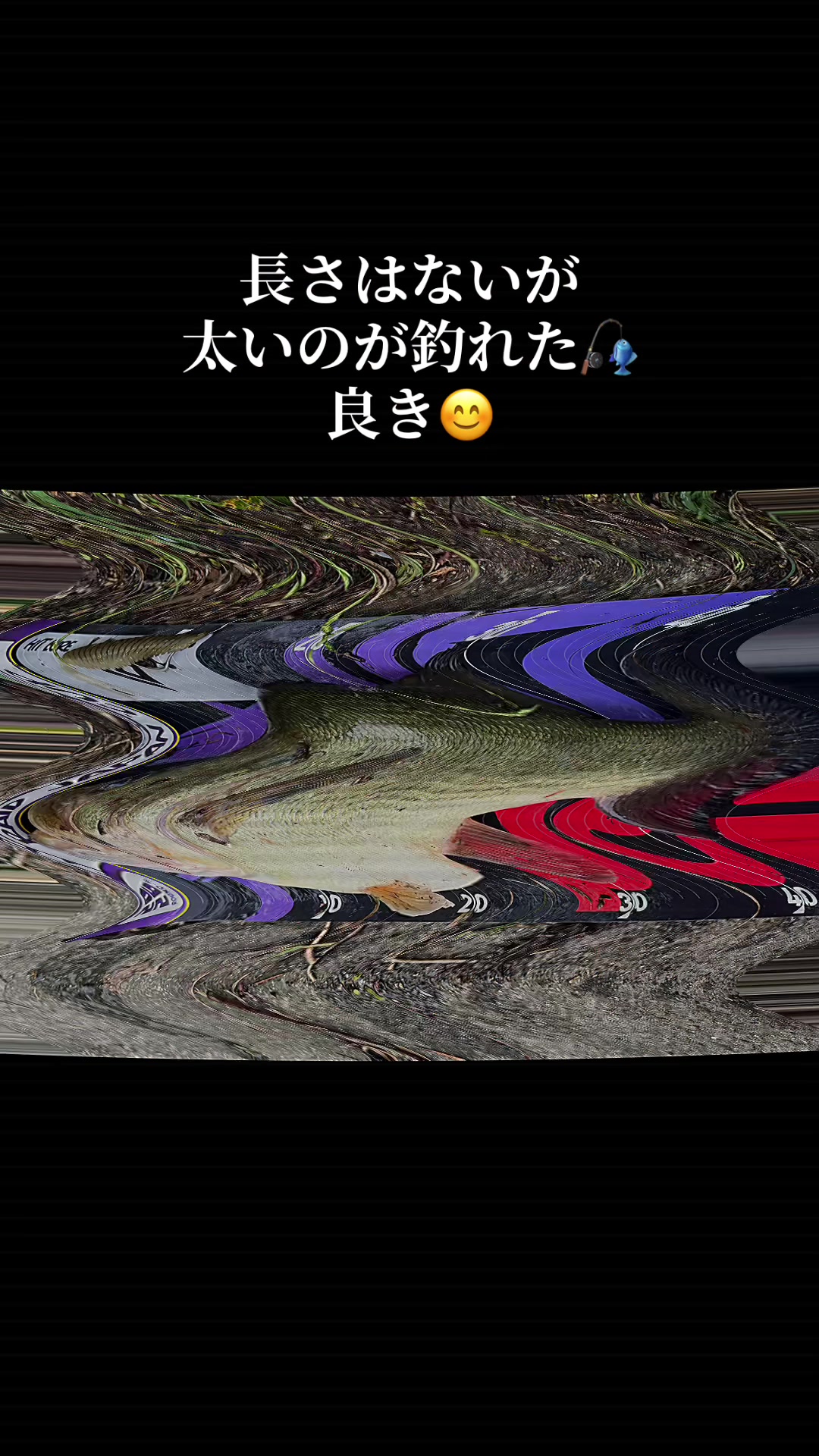 @片田舎のおっさんブラックバスを釣る