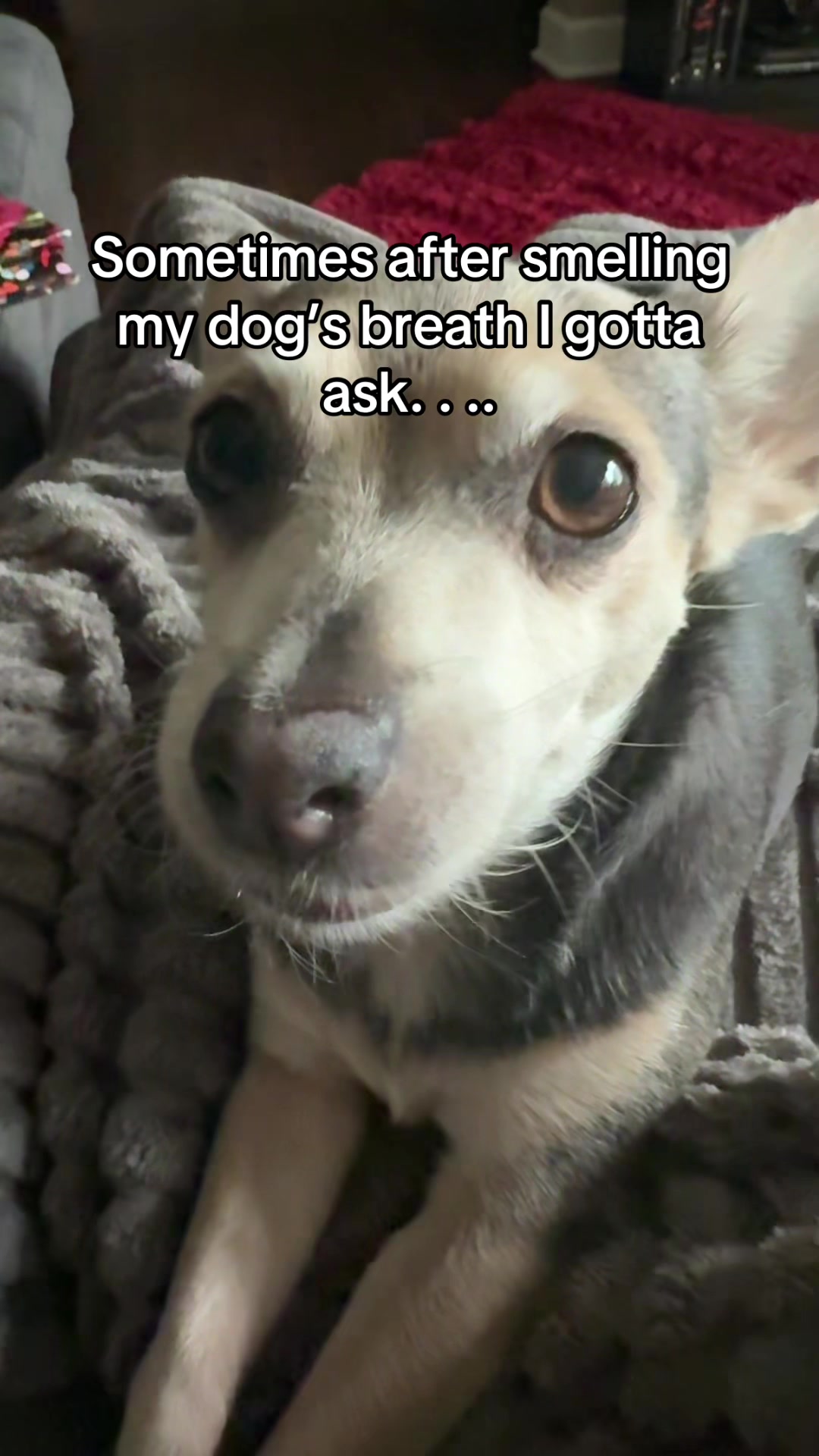 @justcallmegolden