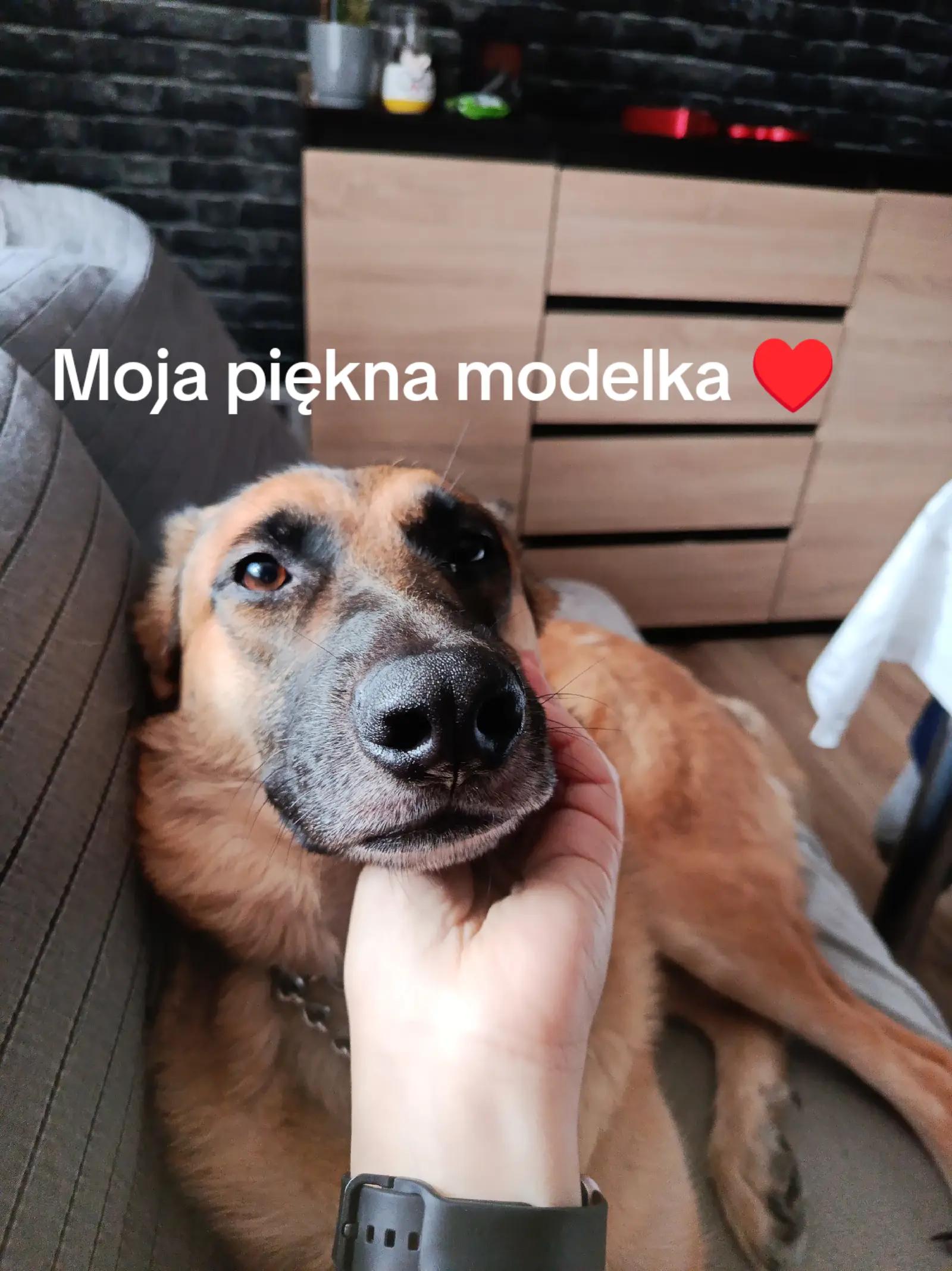 @meva77