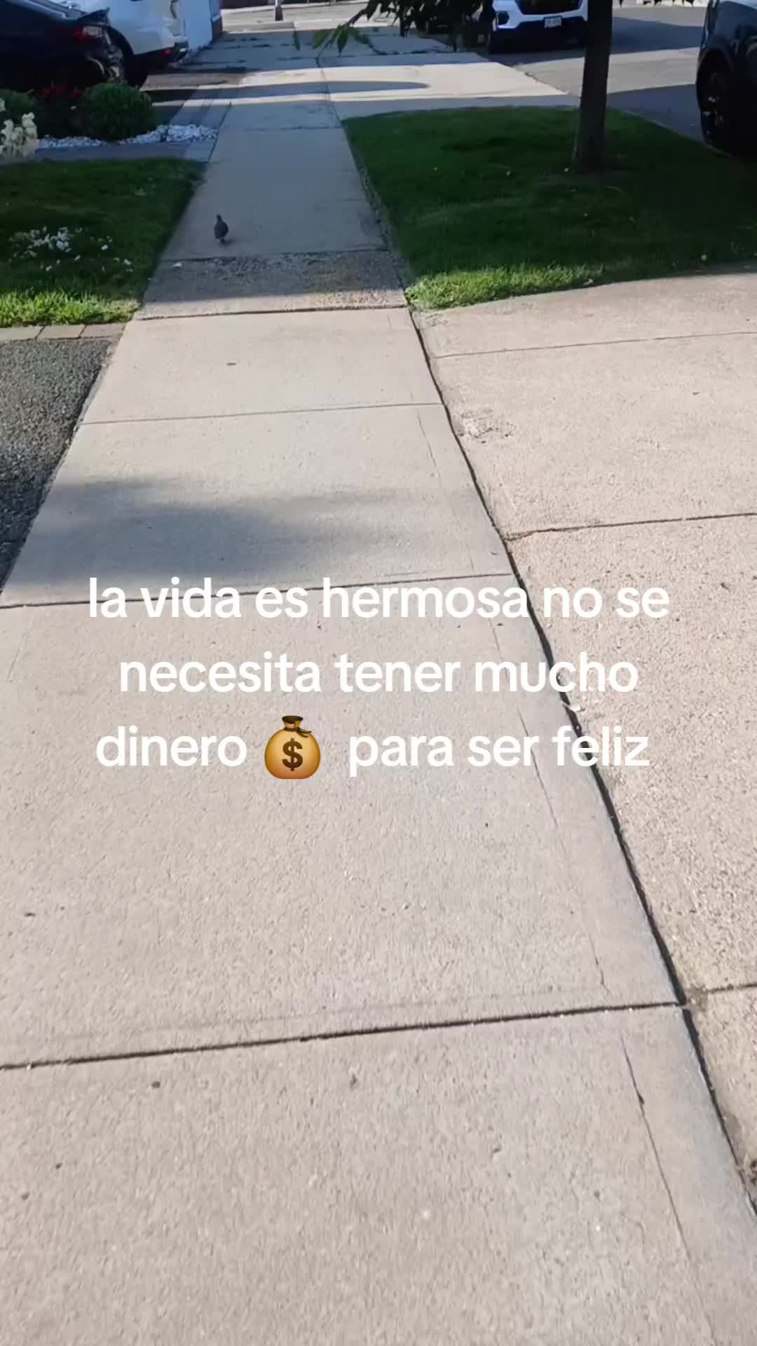 @morenito team work 💪 🙌